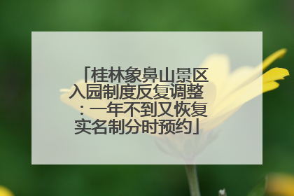 桂林象鼻山景区入园制度反复调整：一年不到又恢复实名制分时预约