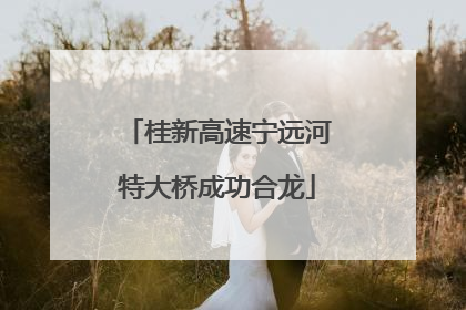 桂新高速宁远河特大桥成功合龙