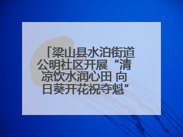 梁山县水泊街道公明社区开展“清凉饮水润心田 向日葵开花祝夺魁”助考活动