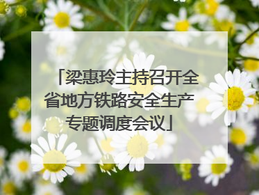 梁惠玲主持召开全省地方铁路安全生产专题调度会议