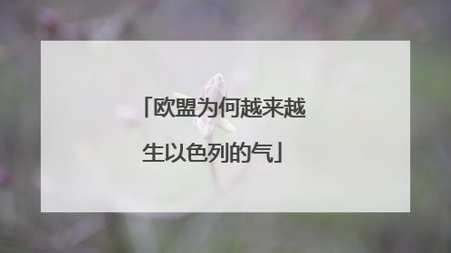 欧盟为何越来越生以色列的气