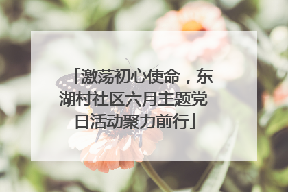 激荡初心使命，东湖村社区六月主题党日活动聚力前行