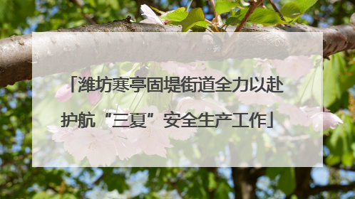 潍坊寒亭固堤街道全力以赴护航“三夏”安全生产工作