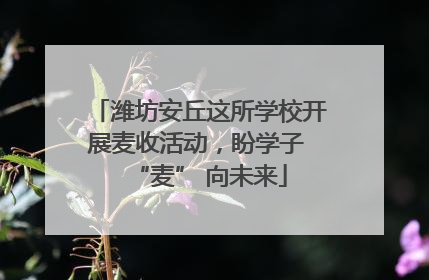 潍坊安丘这所学校开展麦收活动，盼学子 “麦” 向未来
