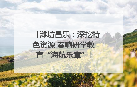 潍坊昌乐：深挖特色资源 奏响研学教育“海航乐章”