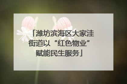 潍坊滨海区大家洼街道以“红色物业”赋能民生服务