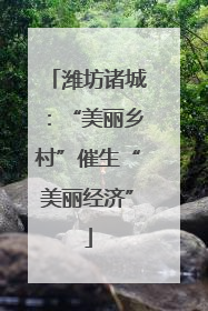 潍坊诸城：“美丽乡村”催生“美丽经济”