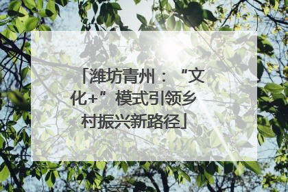 潍坊青州：“文化+”模式引领乡村振兴新路径