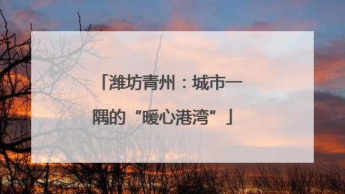 潍坊青州：城市一隅的“暖心港湾”