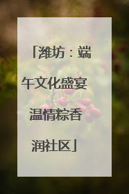 潍坊：端午文化盛宴 温情粽香润社区
