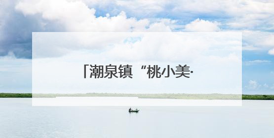 潮泉镇“桃小美·泉心办”助力梦幻桃花源项目扬帆起航