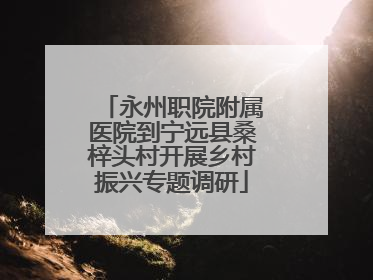永州职院附属医院到宁远县桑梓头村开展乡村振兴专题调研