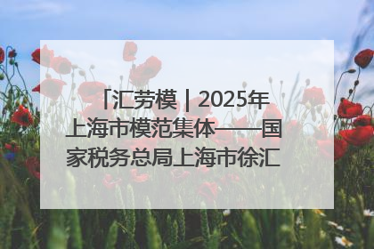 汇劳模｜2025年上海市模范集体——国家税务总局上海市徐汇区税务局第一税务所