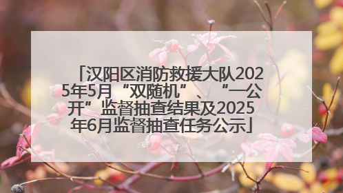 汉阳区消防救援大队2025年5月“双随机”、“一公开”监督抽查结果及2025年6月监督抽查任务公示