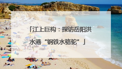 江上巨构：探访岳阳洪水港“钢铁水骆驼”