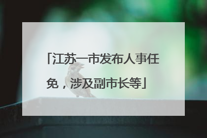 江苏一市发布人事任免，涉及副市长等