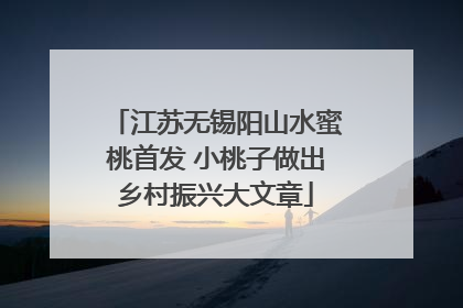 江苏无锡阳山水蜜桃首发 小桃子做出乡村振兴大文章