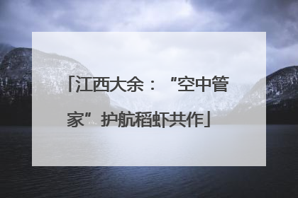 江西大余：“空中管家”护航稻虾共作