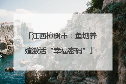 江西樟树市：鱼塘养殖激活“幸福密码”