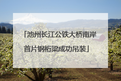 池州长江公铁大桥南岸首片钢桁梁成功吊装