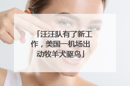汪汪队有了新工作，美国一机场出动牧羊犬驱鸟