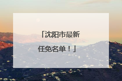 沈阳市最新任免名单！