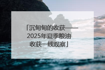 沉甸甸的收获——2025年夏季粮油收获一线观察
