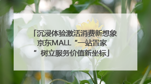 沉浸体验激活消费新想象 京东MALL“一站置家”树立服务价值新坐标