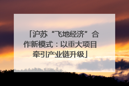 沪苏“飞地经济”合作新模式：以重大项目牵引产业链升级