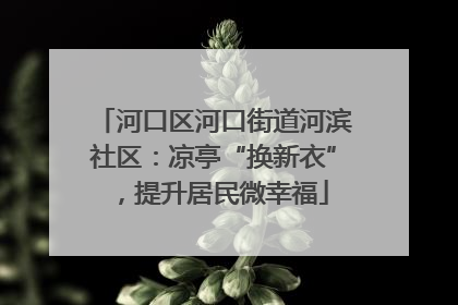 河口区河口街道河滨社区：凉亭“换新衣”，提升居民微幸福