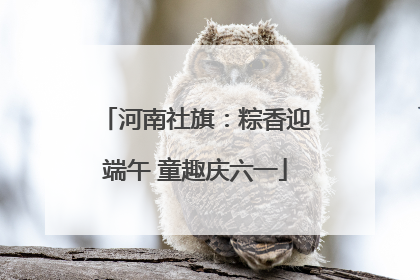 河南社旗：粽香迎端午 童趣庆六一