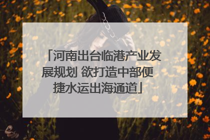 河南出台临港产业发展规划 欲打造中部便捷水运出海通道