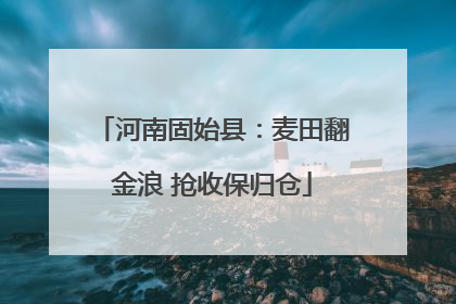 河南固始县：麦田翻金浪 抢收保归仓