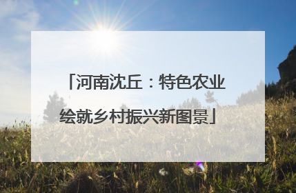 河南沈丘：特色农业绘就乡村振兴新图景
