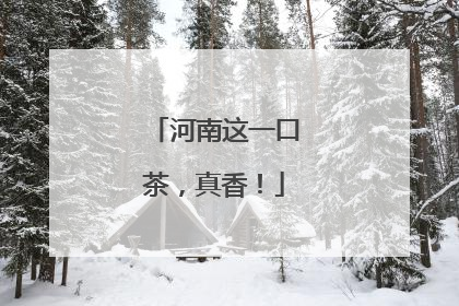 河南这一口茶，真香！
