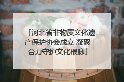 河北省非物质文化遗产保护协会成立 凝聚合力守护文化根脉