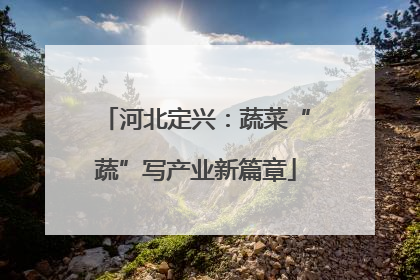 河北定兴：蔬菜“蔬”写产业新篇章