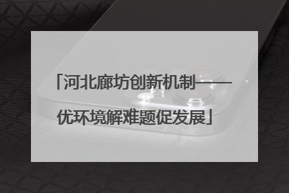 河北廊坊创新机制——优环境解难题促发展