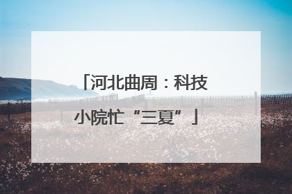 河北曲周：科技小院忙“三夏”