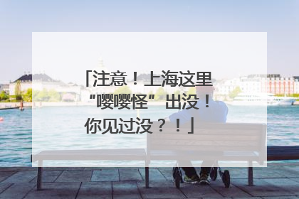 注意！上海这里“嘤嘤怪”出没！你见过没？！