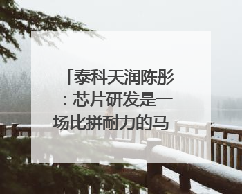 泰科天润陈彤：芯片研发是一场比拼耐力的马拉松｜湘商，向上⑤