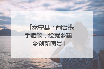 泰宁县：闽台携手赋能，绘就乡建乡创新图景