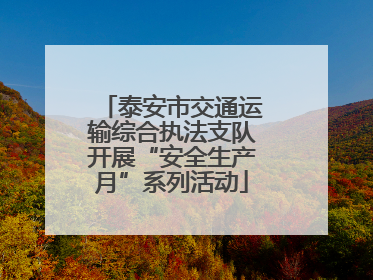 泰安市交通运输综合执法支队开展“安全生产月”系列活动