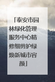 泰安市园林绿化管理服务中心精修细剪护绿焕新城市容颜