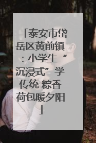泰安市岱岳区黄前镇：小学生“沉浸式”学传统 粽香荷包暖夕阳
