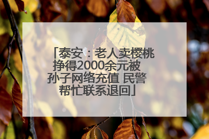 泰安：老人卖樱桃挣得2000余元被孙子网络充值 民警帮忙联系退回
