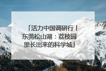 活力中国调研行丨东莞松山湖：荔枝园里长出来的科学城