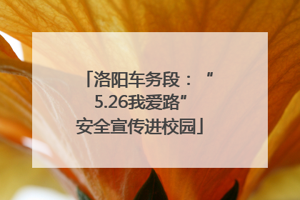 洛阳车务段：“5.26我爱路”安全宣传进校园