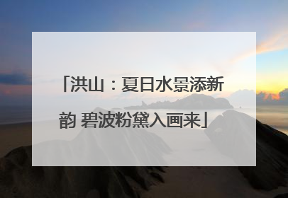 洪山：夏日水景添新韵 碧波粉黛入画来