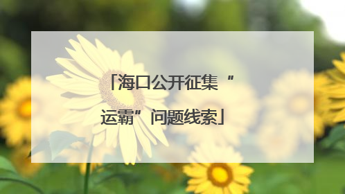 海口公开征集“运霸”问题线索